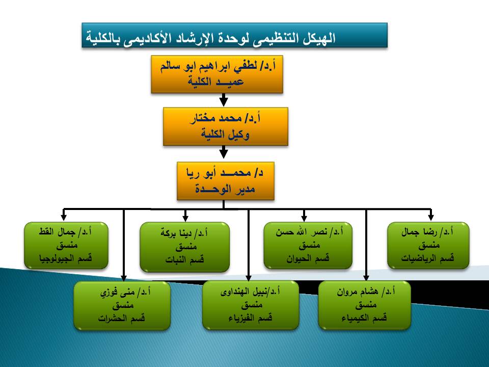 Organizational Structure2019