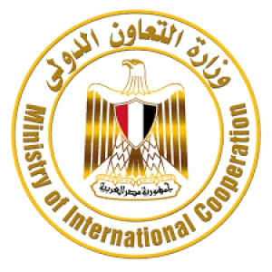 تسجيل دينا حامد عابدين لدرجة الماجيستير فى الكيمياء اللاعضوية