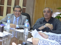 البرنامج التنفيذى بين جمهورية مصر العربية ومملكة البحرين للأعوام 2014 / 2016