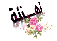 تسجيل &quot; مروة جميل أبو سريع &quot; المسجلة لدرجة الماجستير فى الكيمياء العضوية